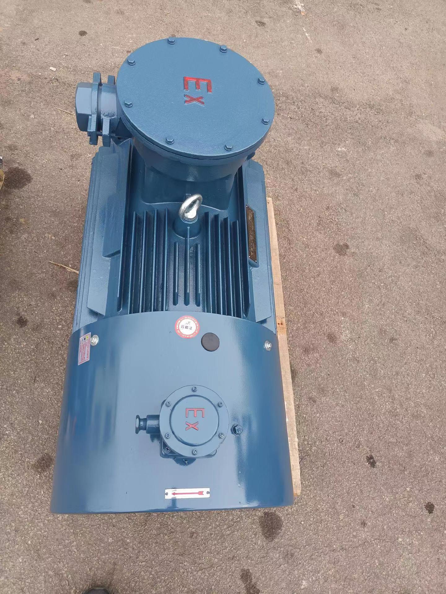 泰富西玛电机 泰富西玛电机