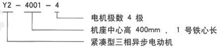 西安泰富西玛Y2系列紧凑型高压三相异步电动机型号说明