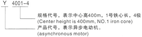 西安泰富西玛Y系列(H400-500)380V低压大功率三相异步电动机型号说明 西安泰富西玛Y系列(H400-500)380V低压大功率三相异步电动机型号说明